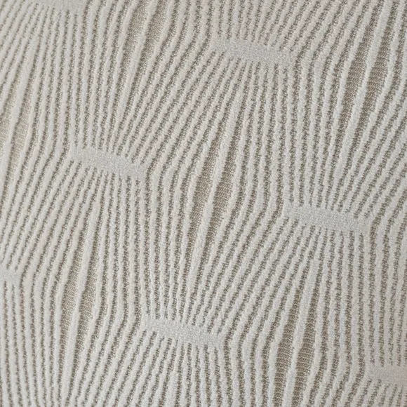 Hendrix Velvet Cushion 3