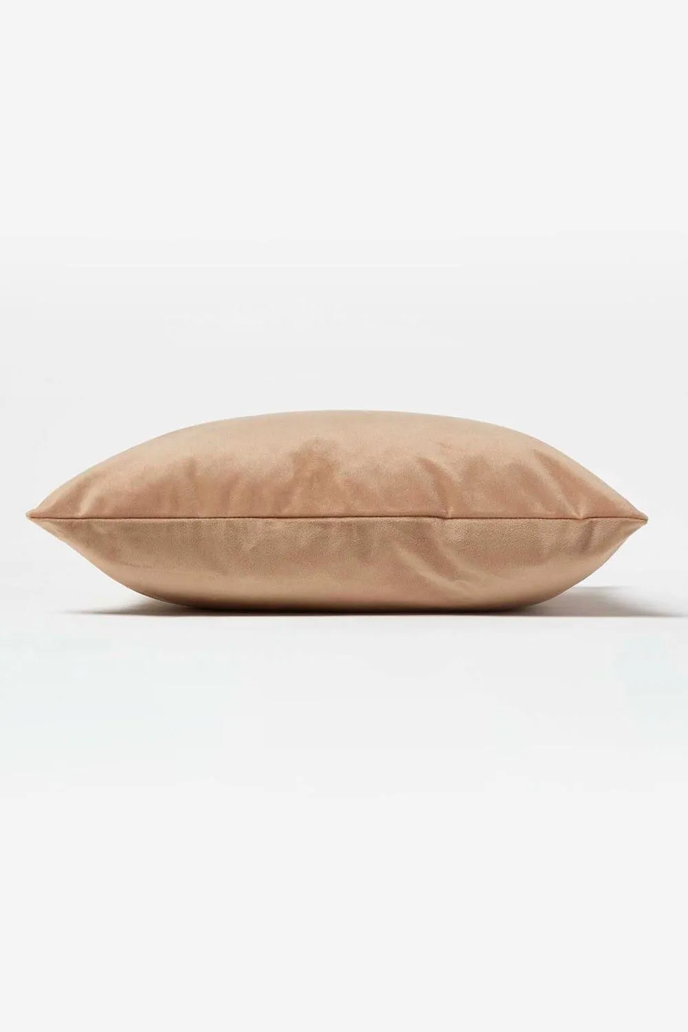 Homescapes Luxury Soft Velvet Cushion in Beige 4