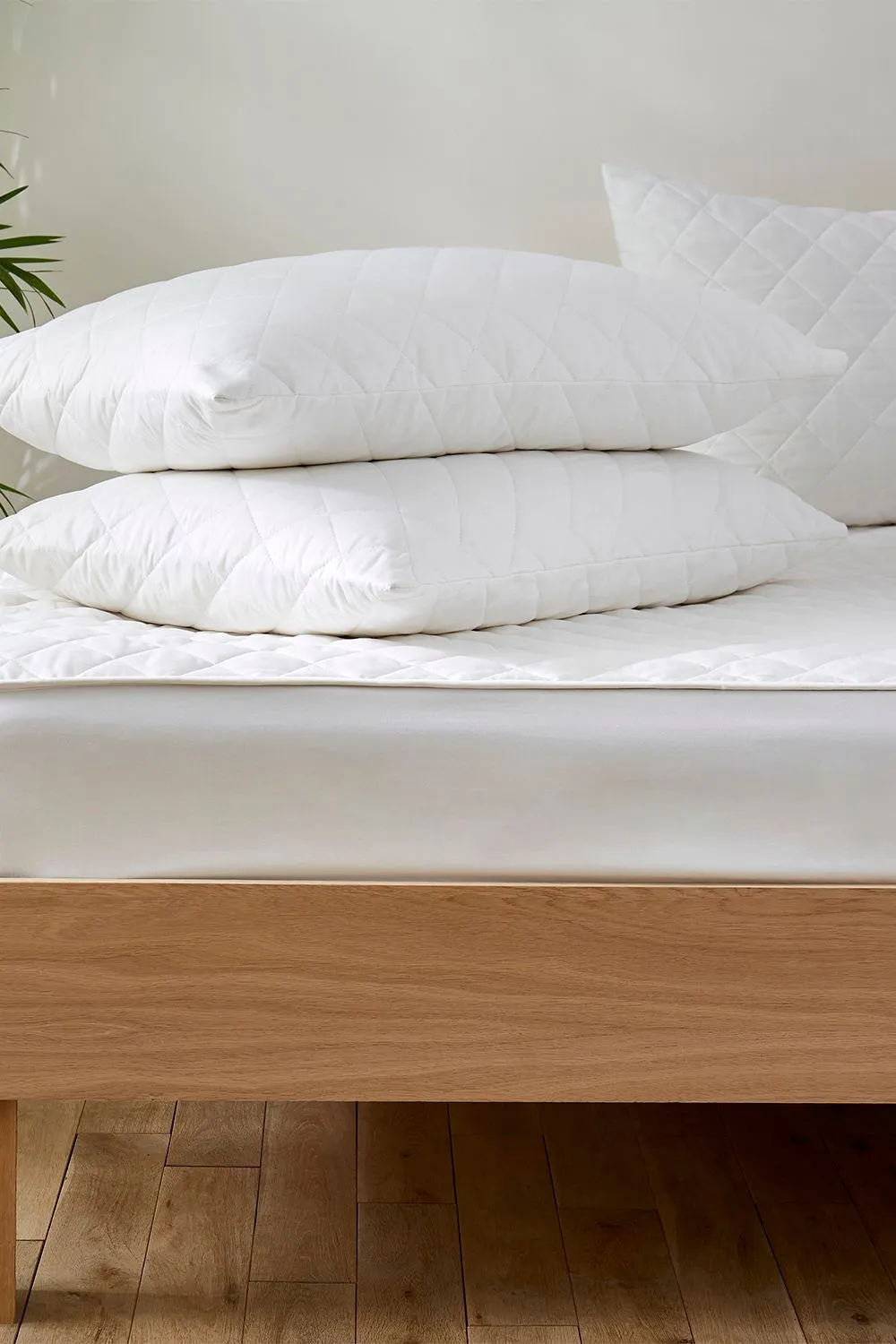 Martex Cotton Quilted Mattress & Pillow Protector Set in White
