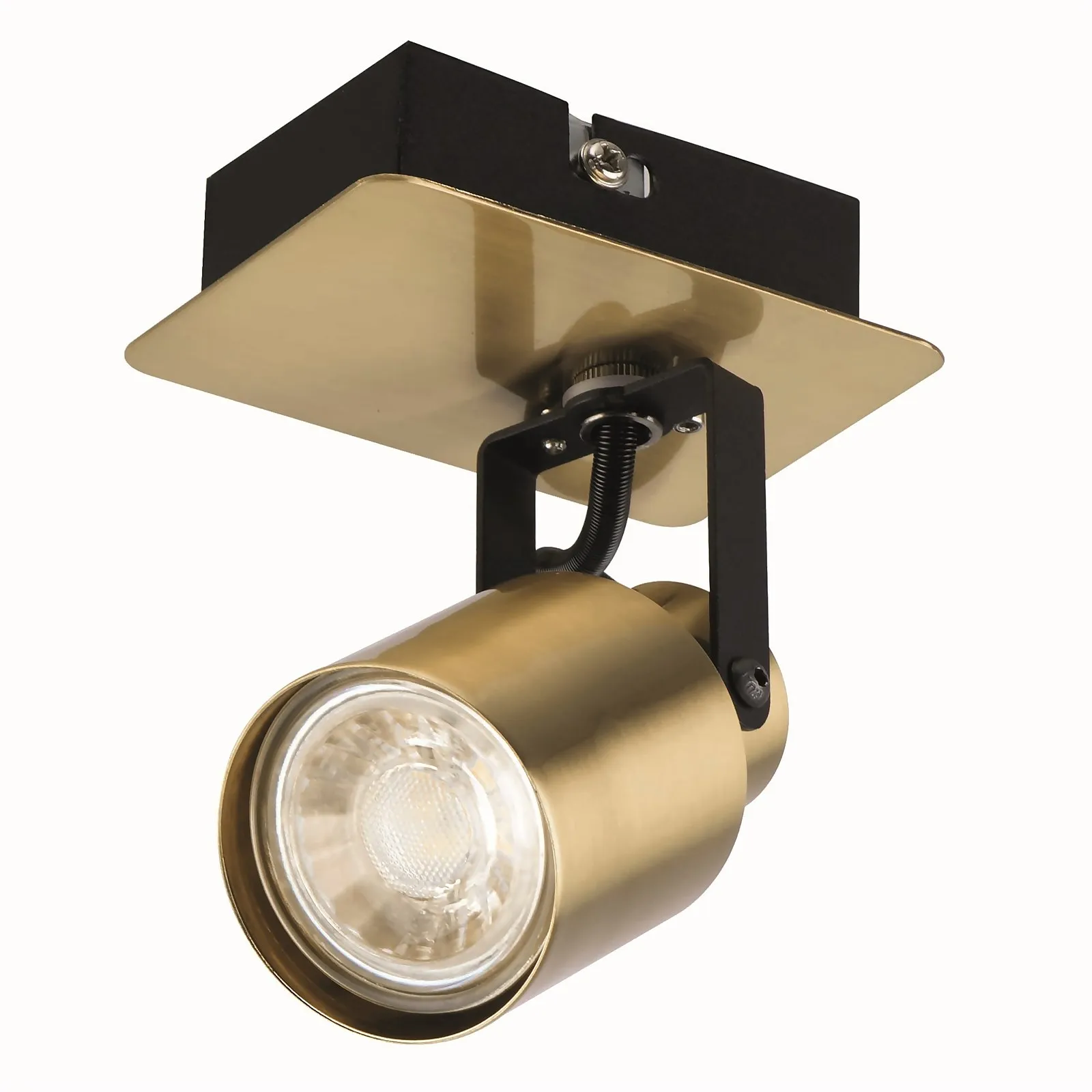 Lucy Single Lamp Spotlight, Gold/Black