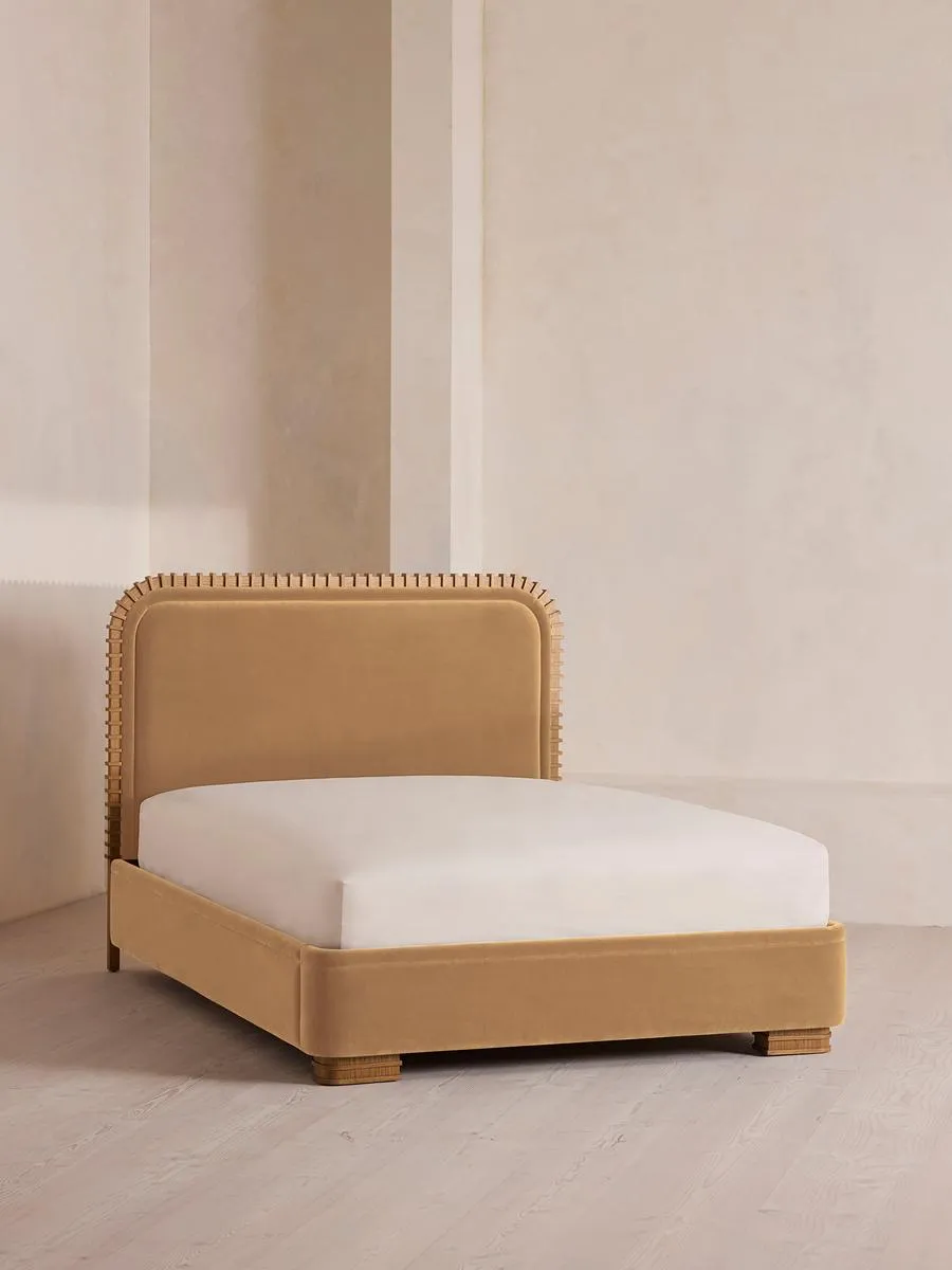 Angus Bed, King, Velvet, Camel