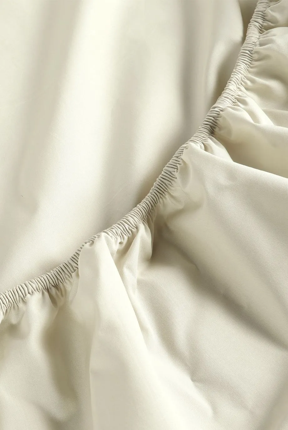 CHRISTY Pure Cotton Percale Fitted Sheets in Beige 5