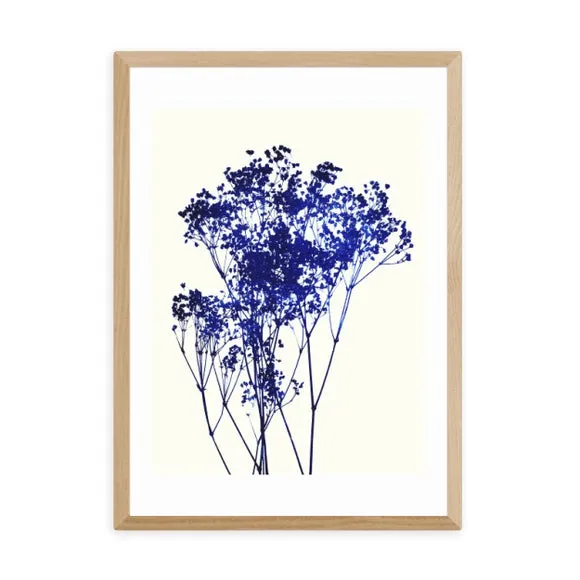 East End Prints Baby's Breath Print 2