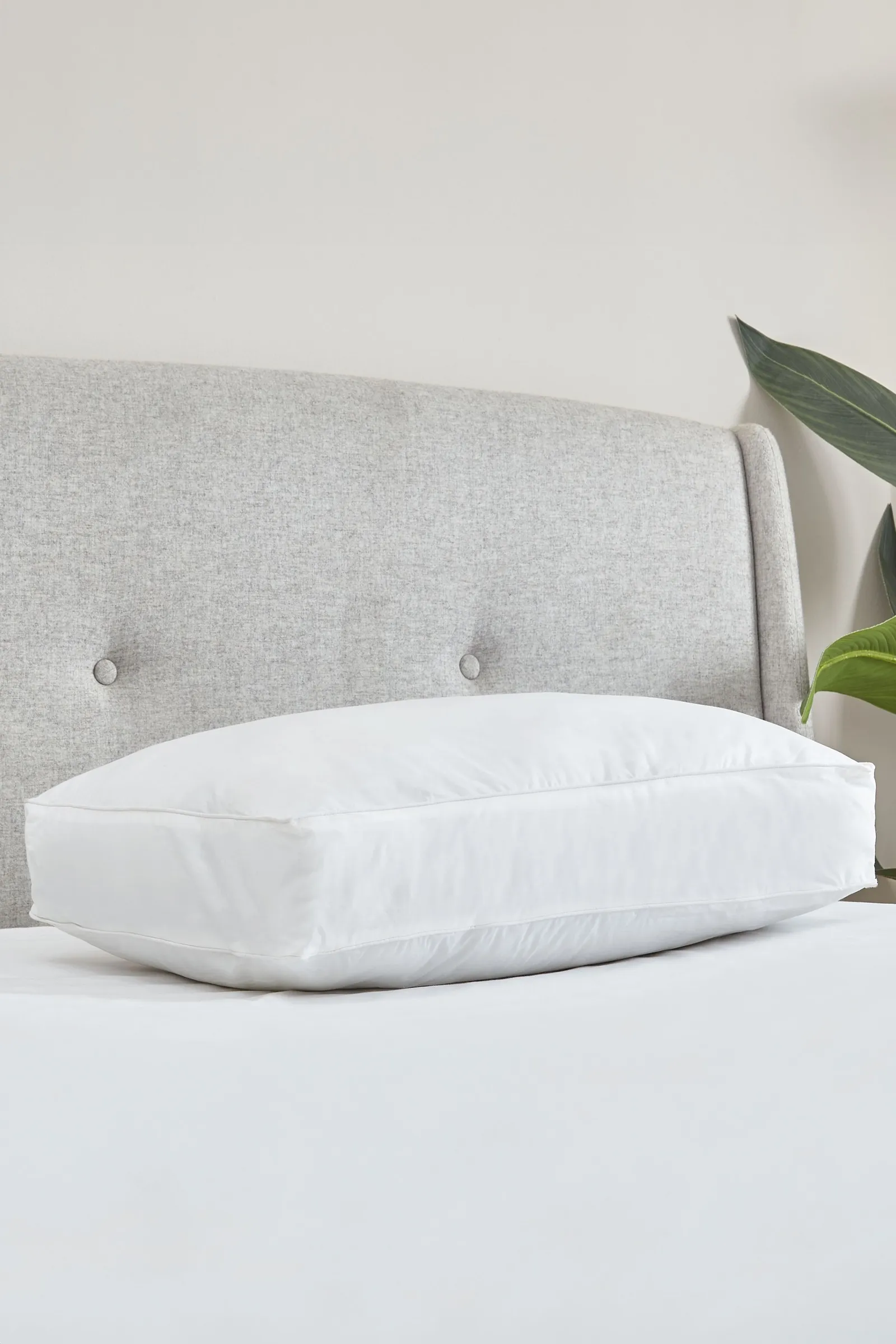 Catherine Lansfield 'Luxury Box' Cotton Pillow in White 2