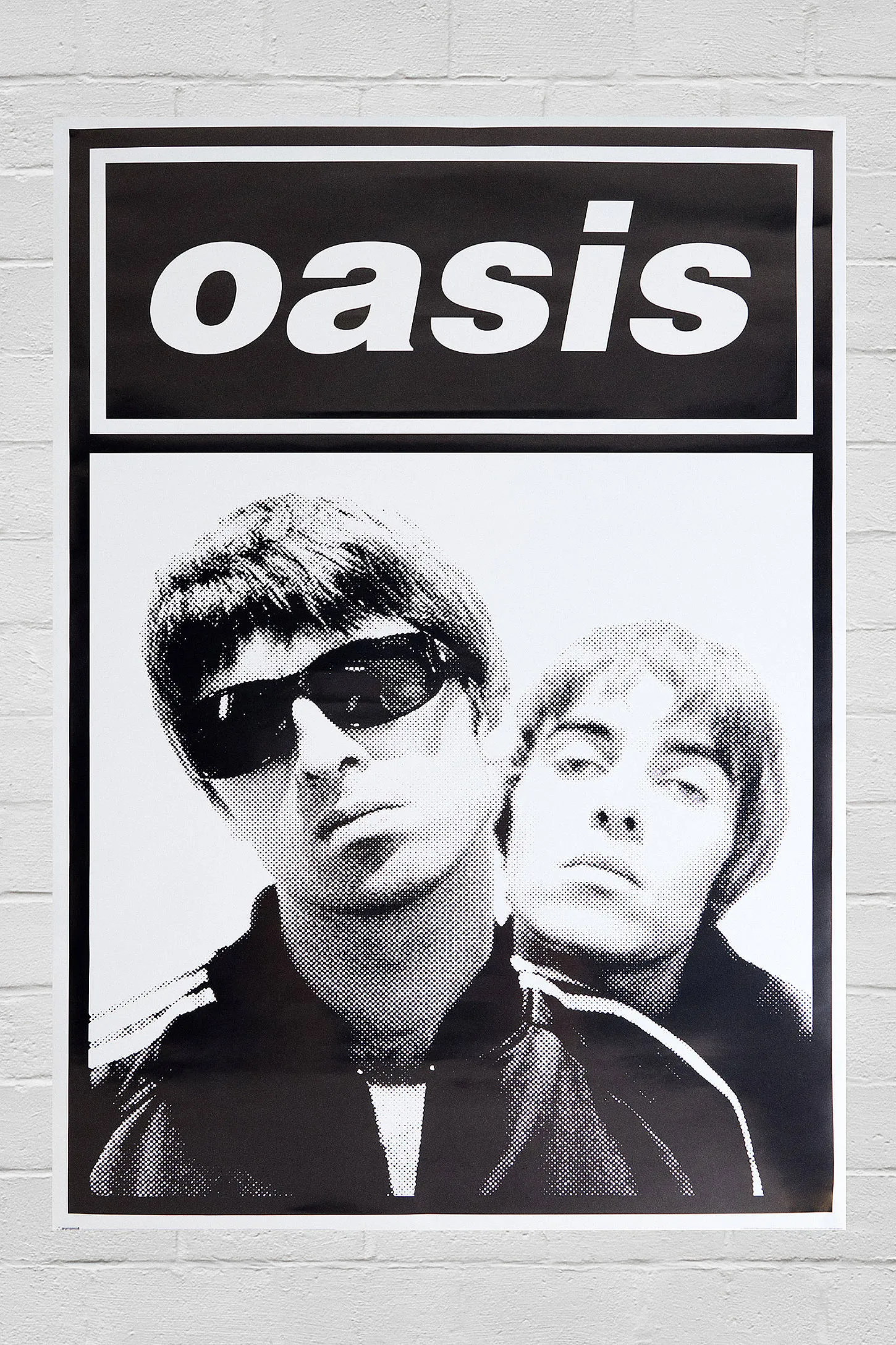 Oasis 60x91cm Wall Art Print