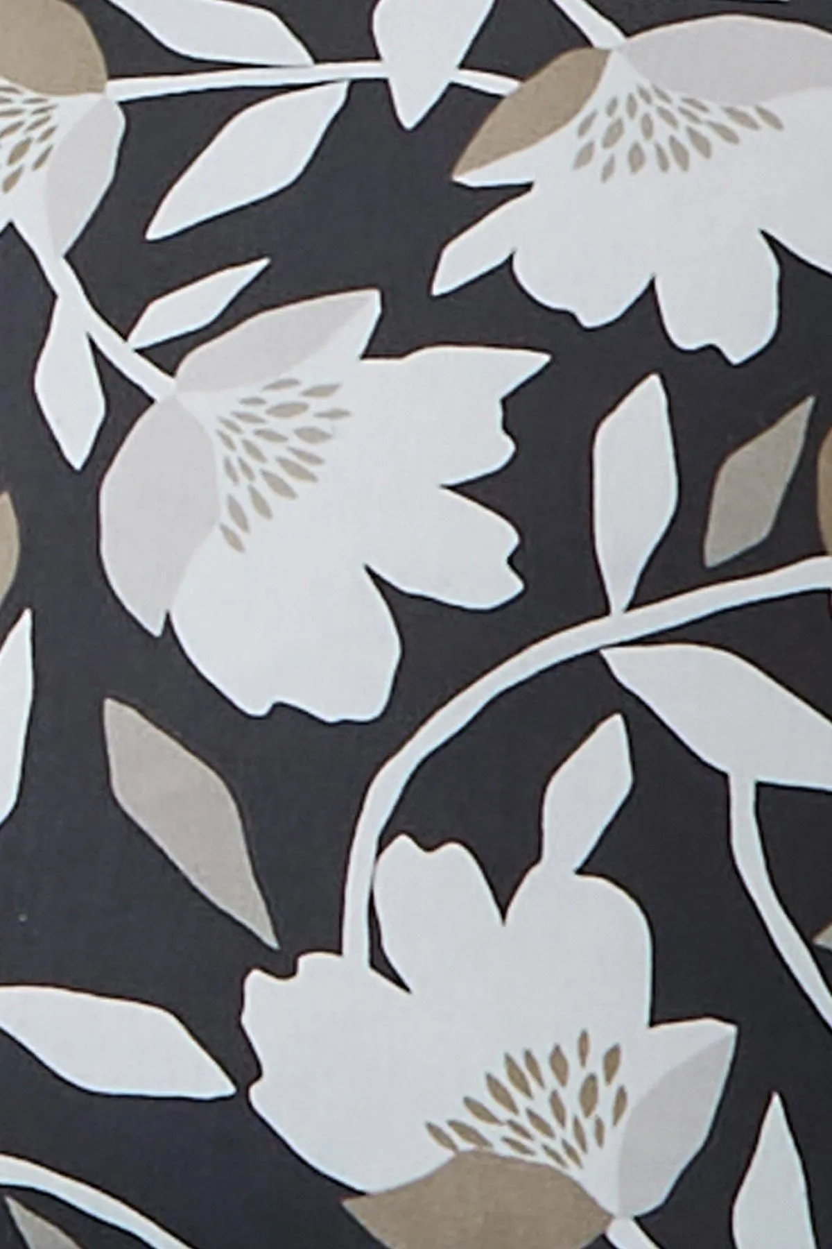 Fusion 'Luna' 100% Cotton Filled Cushion in Black 3