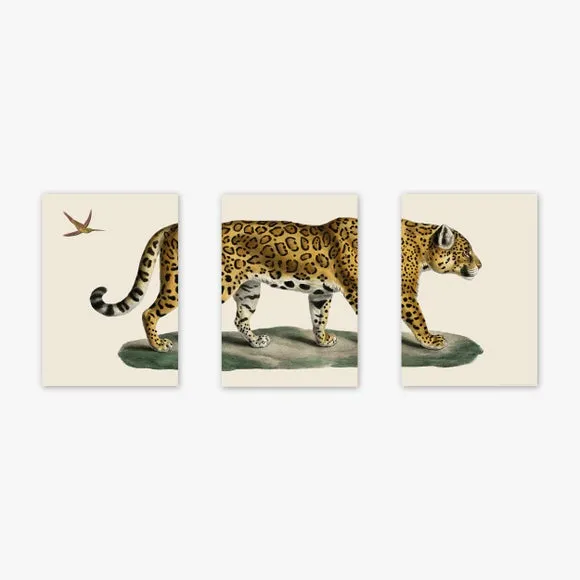 East End Prints Set of 3 Jaguar Prints 2