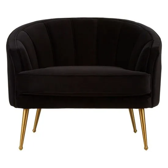 Dubhe Velvet Tub Chair In Black With Gold Finish Legs