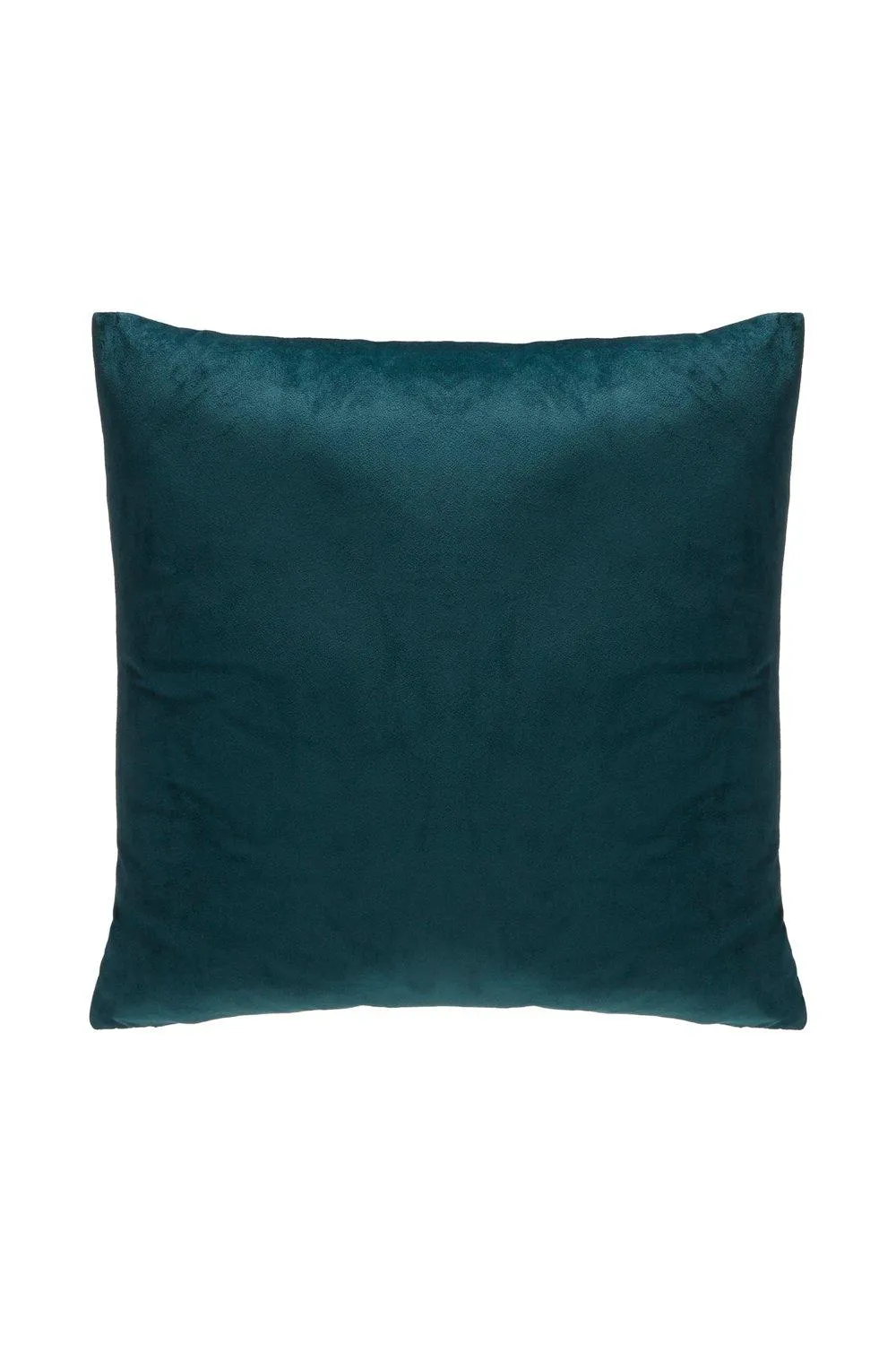 Velvet Cushion