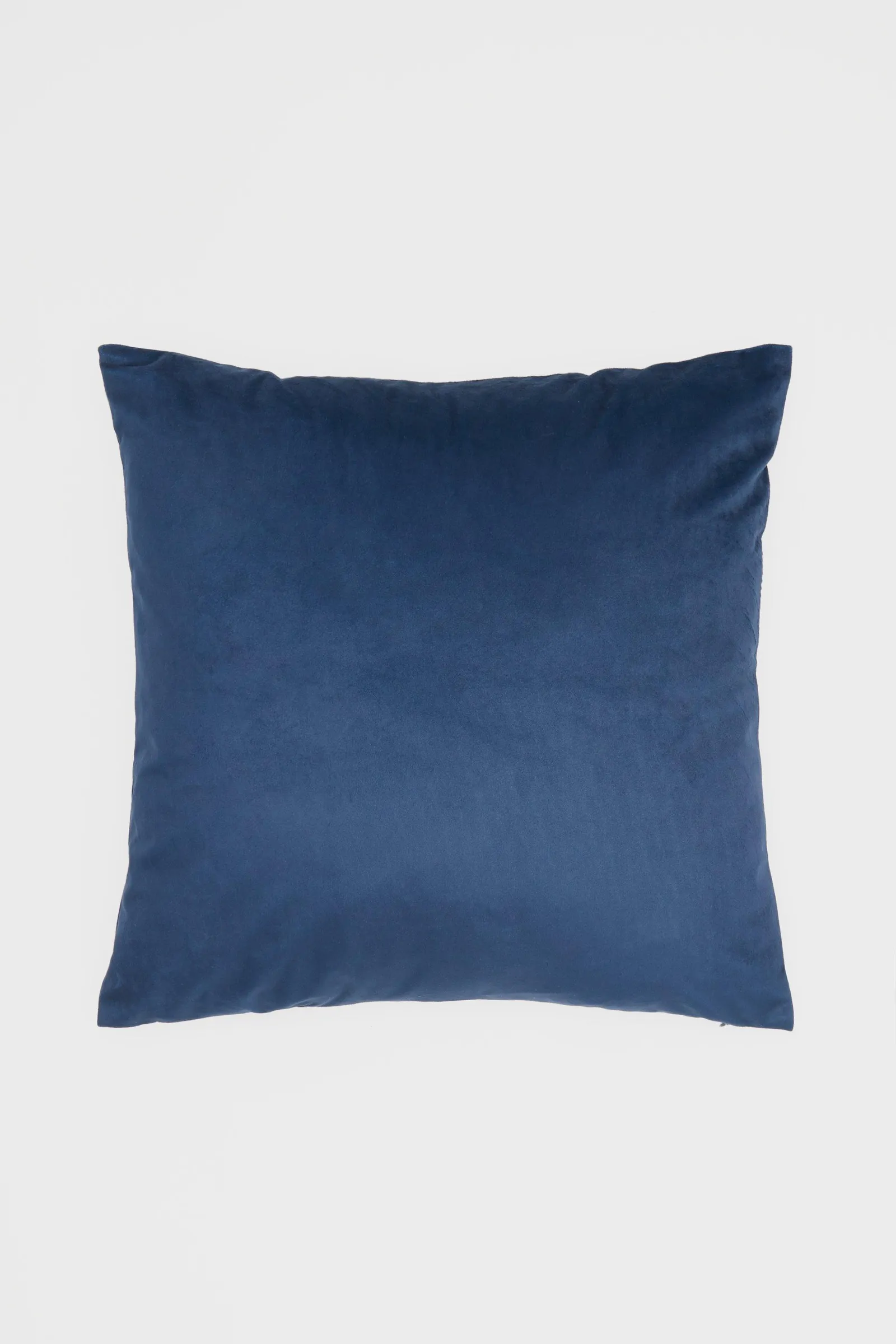 Velvet Cushion