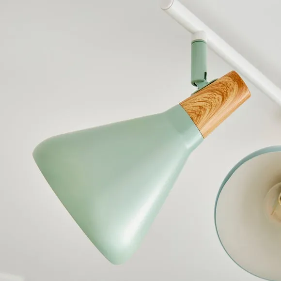 Elements Wolston 4 Light Semi Flush Spotlight Bar 3