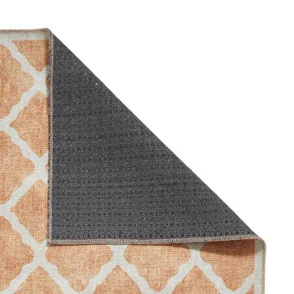 Coral H1063 Rug 3