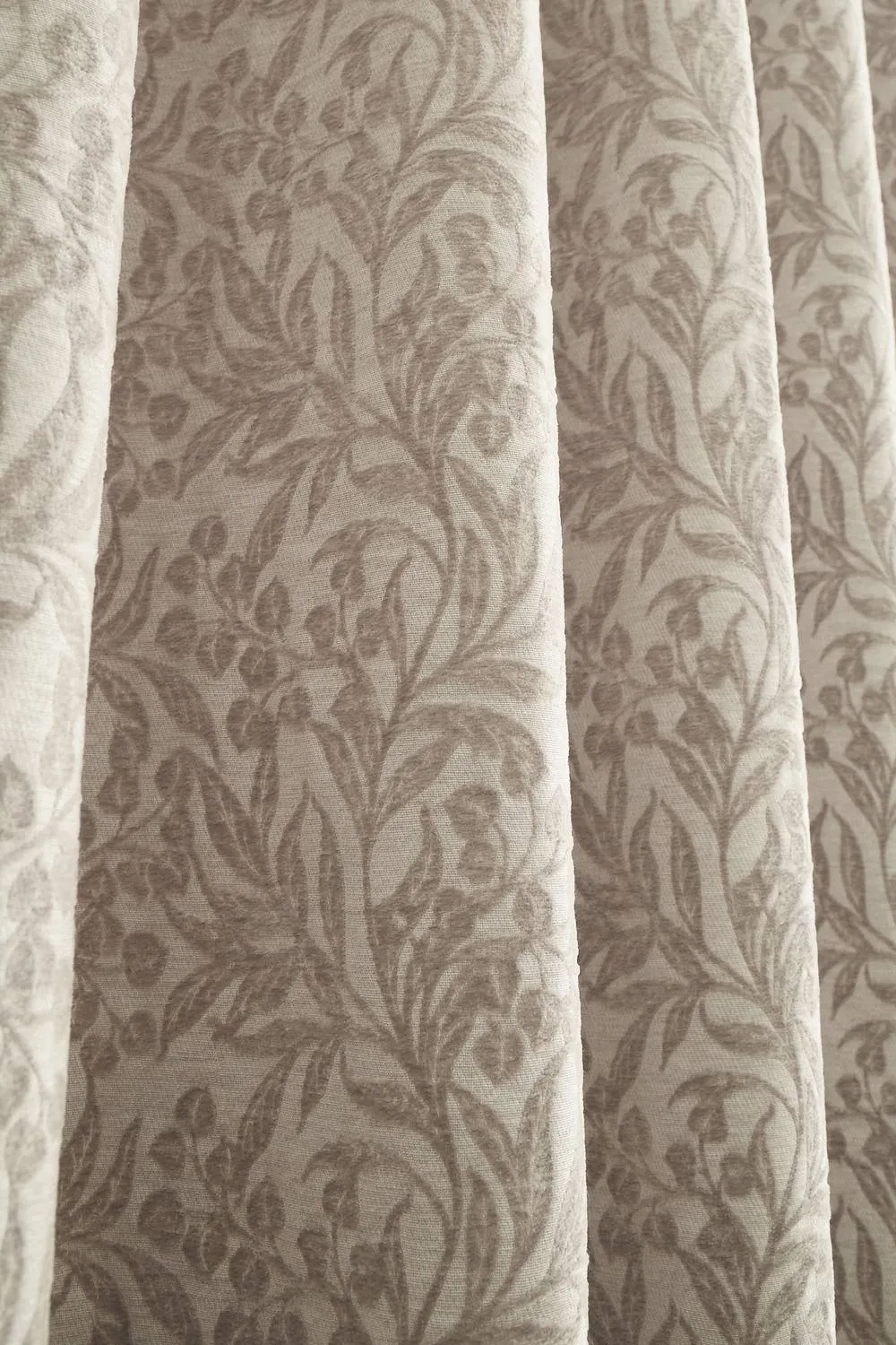 Bianca 'Chenille Leaves' Lined Eyelet Curtains in Natural 4