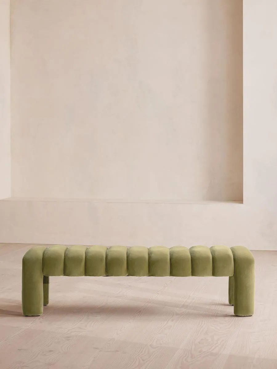 Willis Bench, Velvet, Lichen