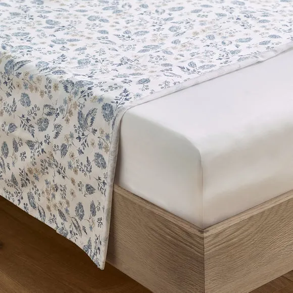 Dorma Archive Romeo 300 Thread Count 100% Cotton Flatsheet