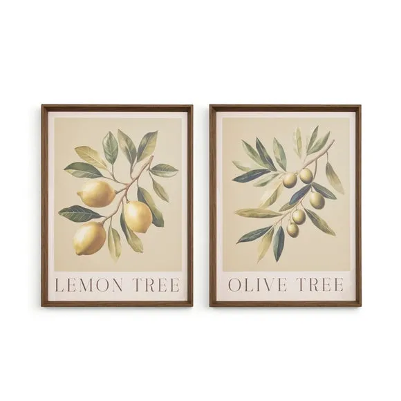 Set Of 2 Olive & Lemon Tree Framed Prints 3