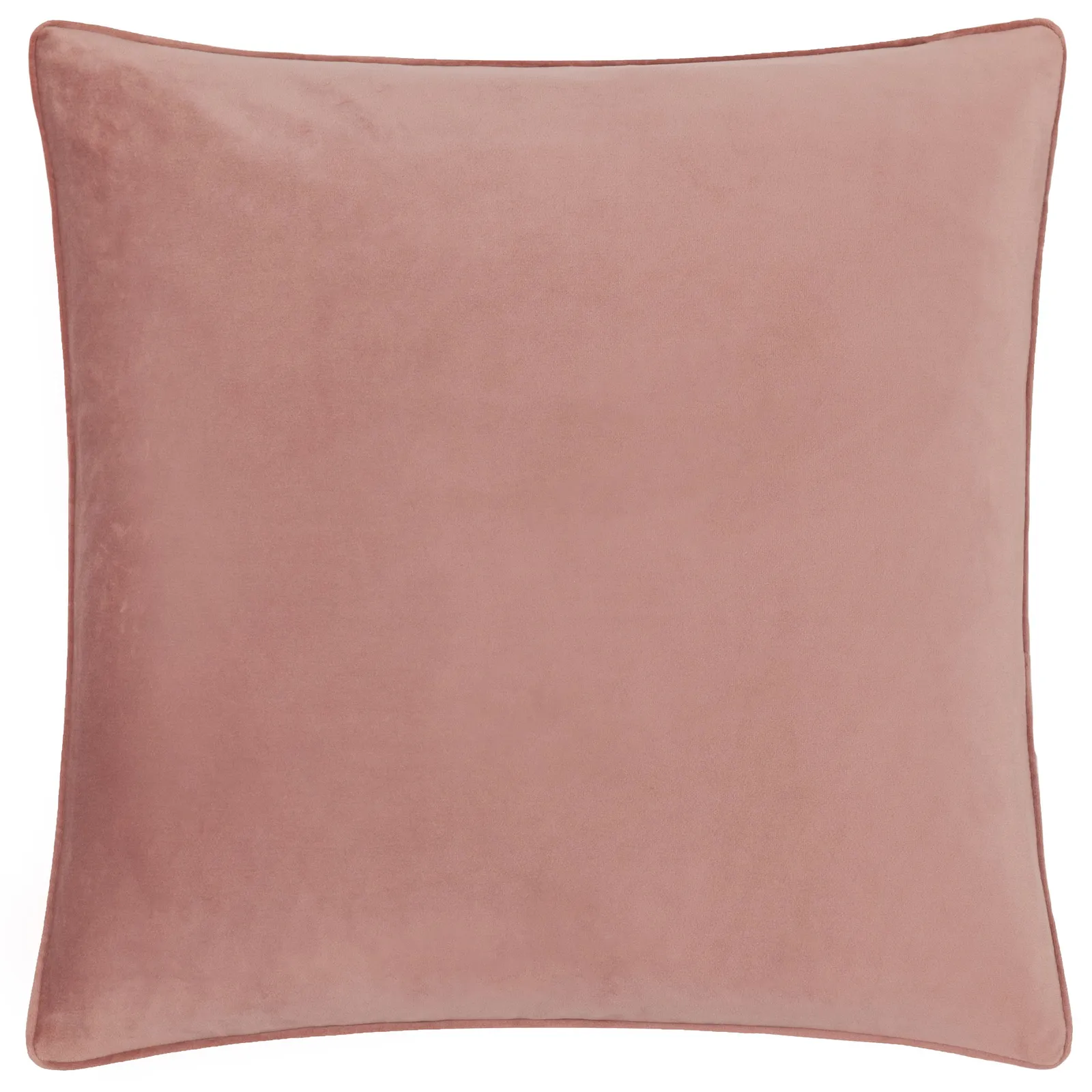 Paoletti Moonlit Flight Embroidered Velvet Cushion in Olive 2