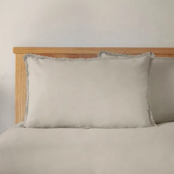 Pure Cotton Lace 100% Cotton Standard Pillowcase Pair