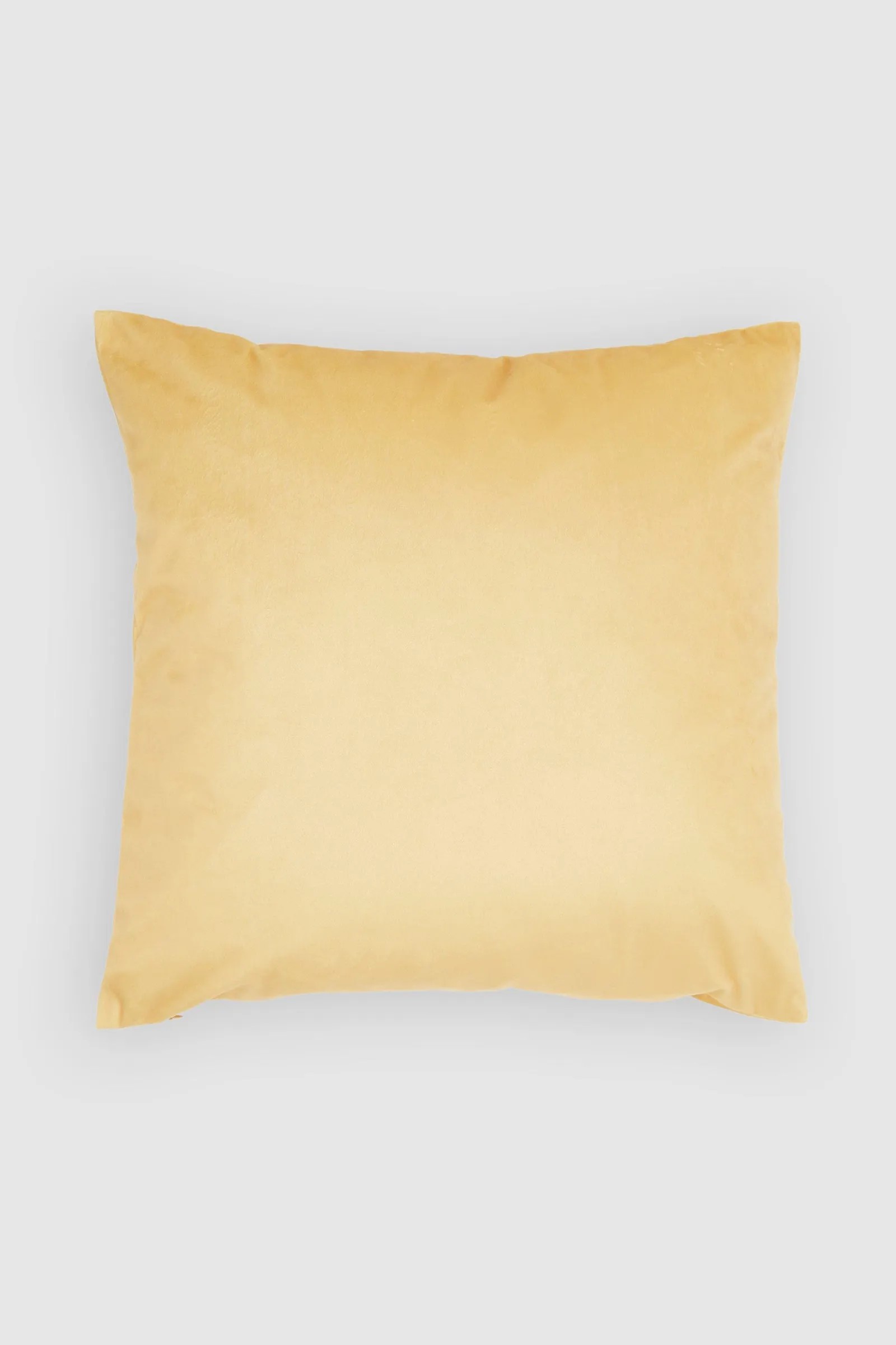 Velvet Cushion
