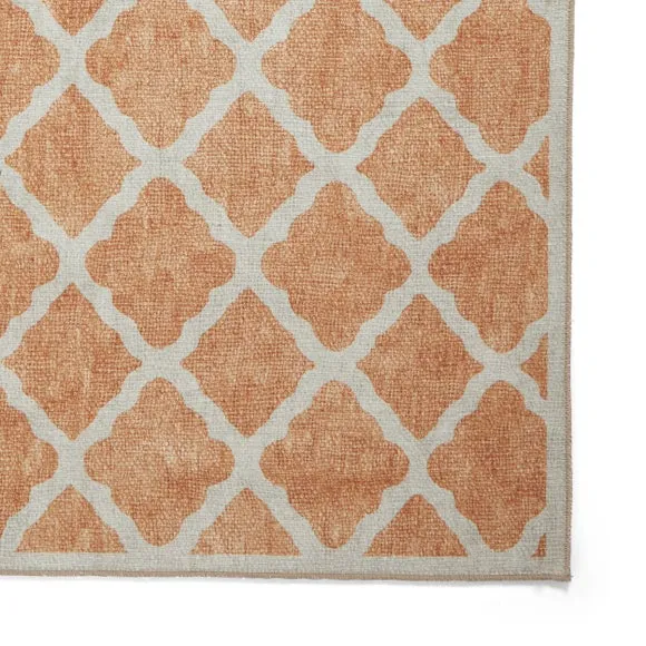 Coral H1063 Rug 5