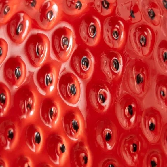 Strawberry Ceramic Side Table 3