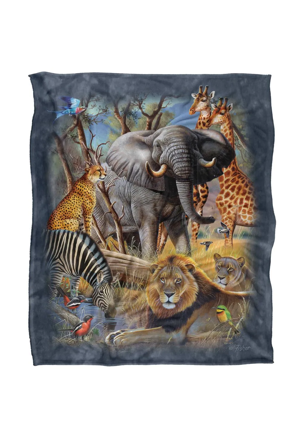 JQ Licensing Cf-Jp African Animal Elephant, Lion, Zebra, Giraffe Collage Silky Touch Super Soft Throw Blanket 152 X 127 cm in White