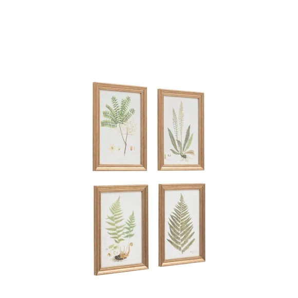 Cedar & Sage Set of 4 Assorted Ferns Framed Prints 4