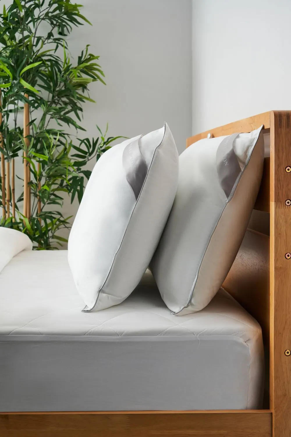 BHS Home Collection Feels Like Down Pair Pillow in White 5