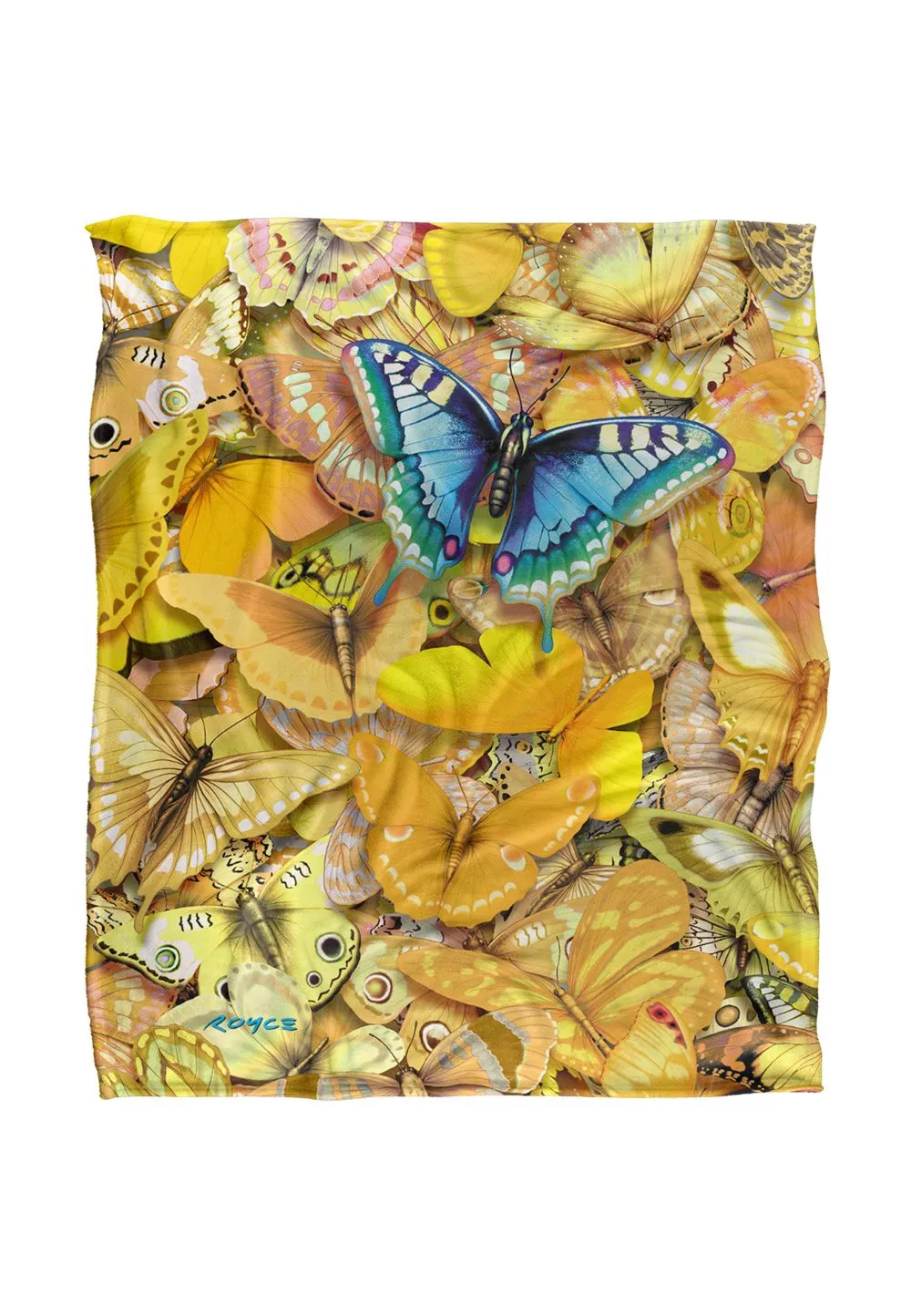 JQ Licensing Royce Mcclure Be Unique Butterflies Silky Touch Super Soft Throw Blanket 152 X 127 cm in White