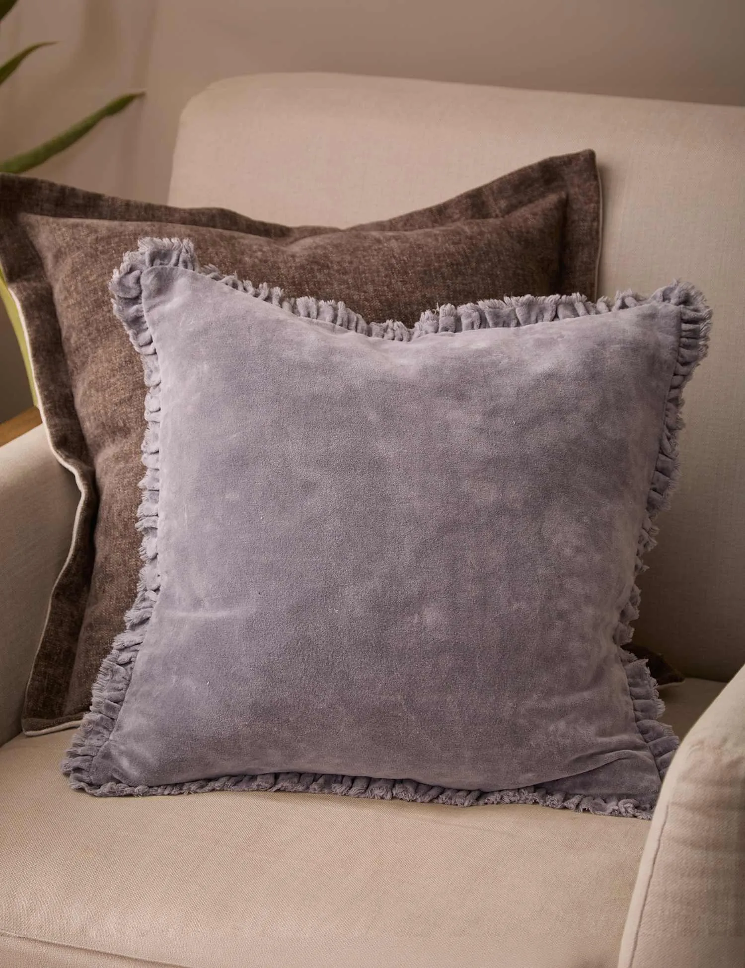 YARD Bertie Cotton Velvet Cushion Mauve