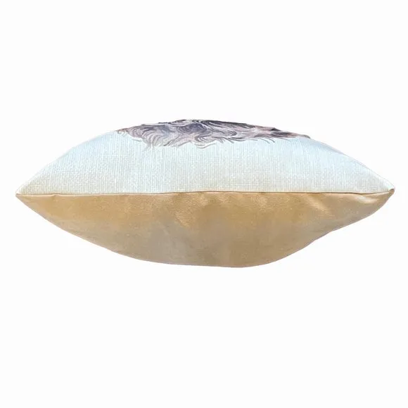 Daro Cockapoo Square Cushion 3