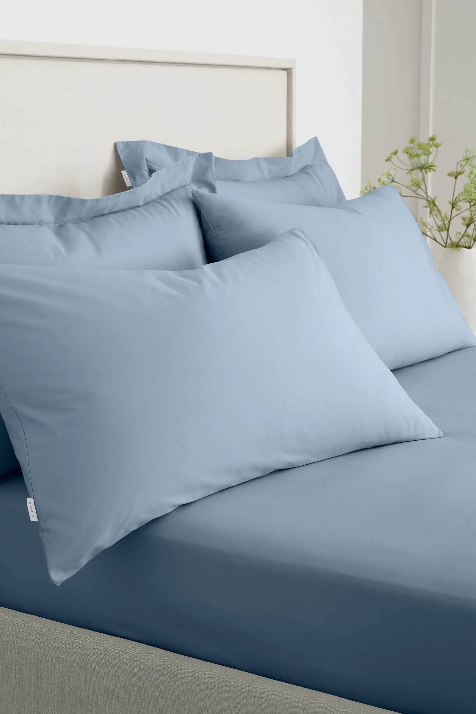 Bianca '200 Thread Count Cotton Percale' Standard Pillowcase Pair in Blue 1