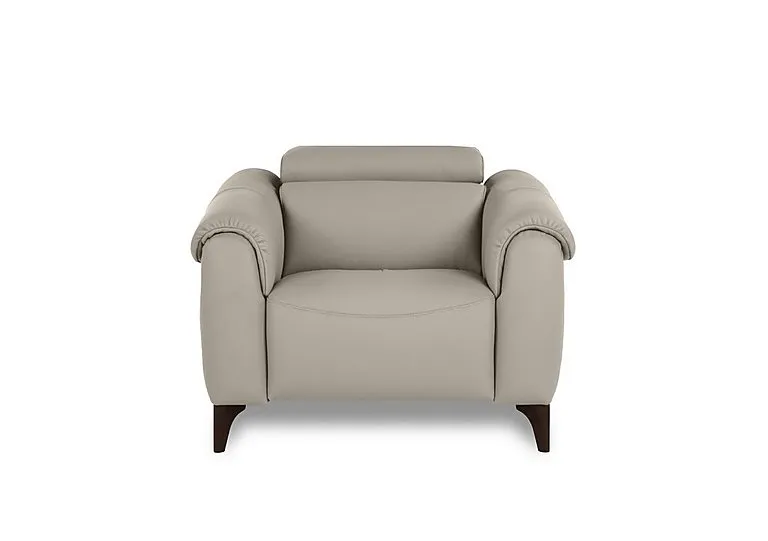 Nicole Leather Power Recliner Armchair with Power Headrest and Power Lumbar