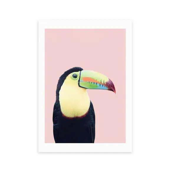 East End Prints Toucan Print by Sisi and Seb 2