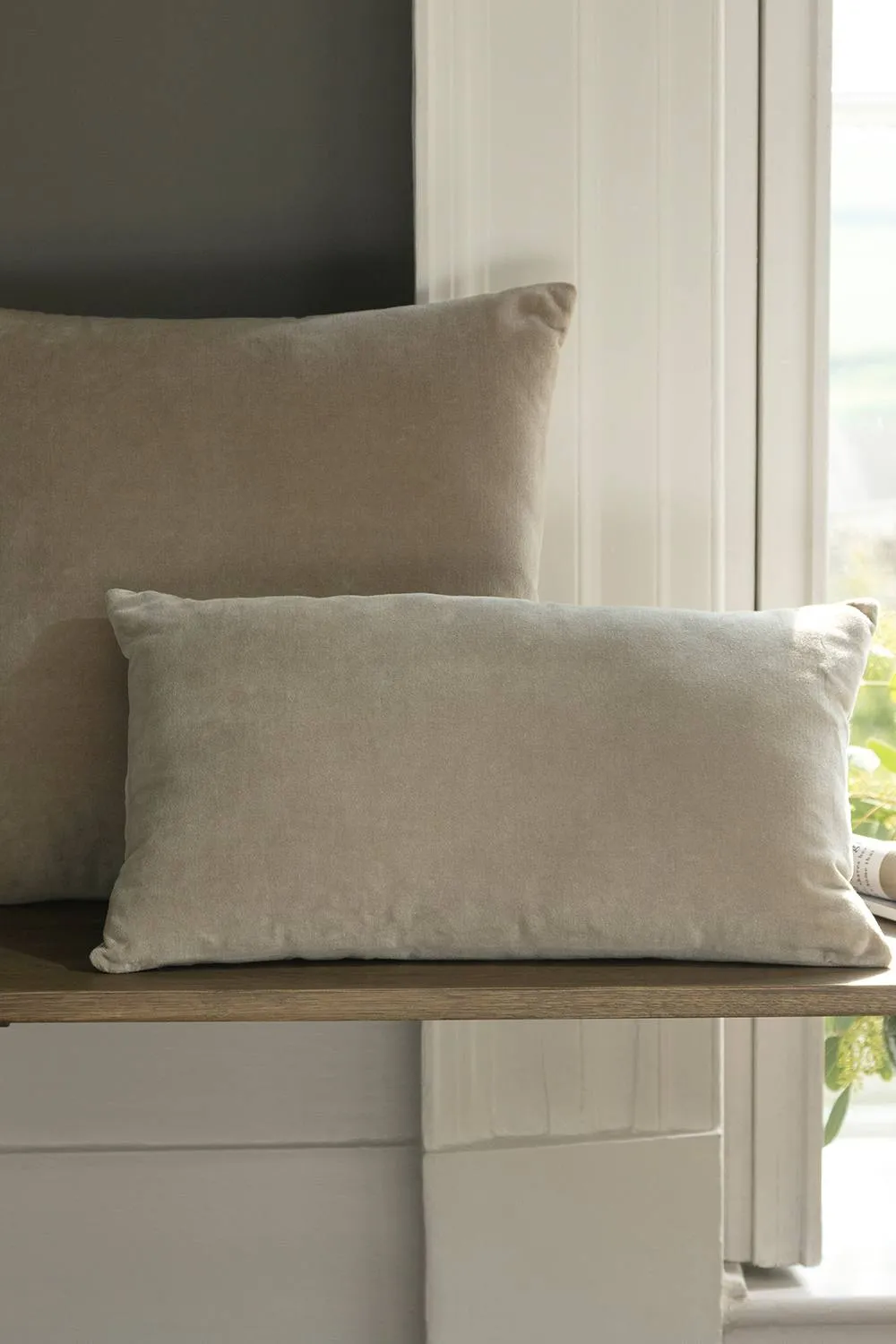 CHRISTY Luxury Filled Velvet 'Jaipur' Rectangle Cushions in Brown 2