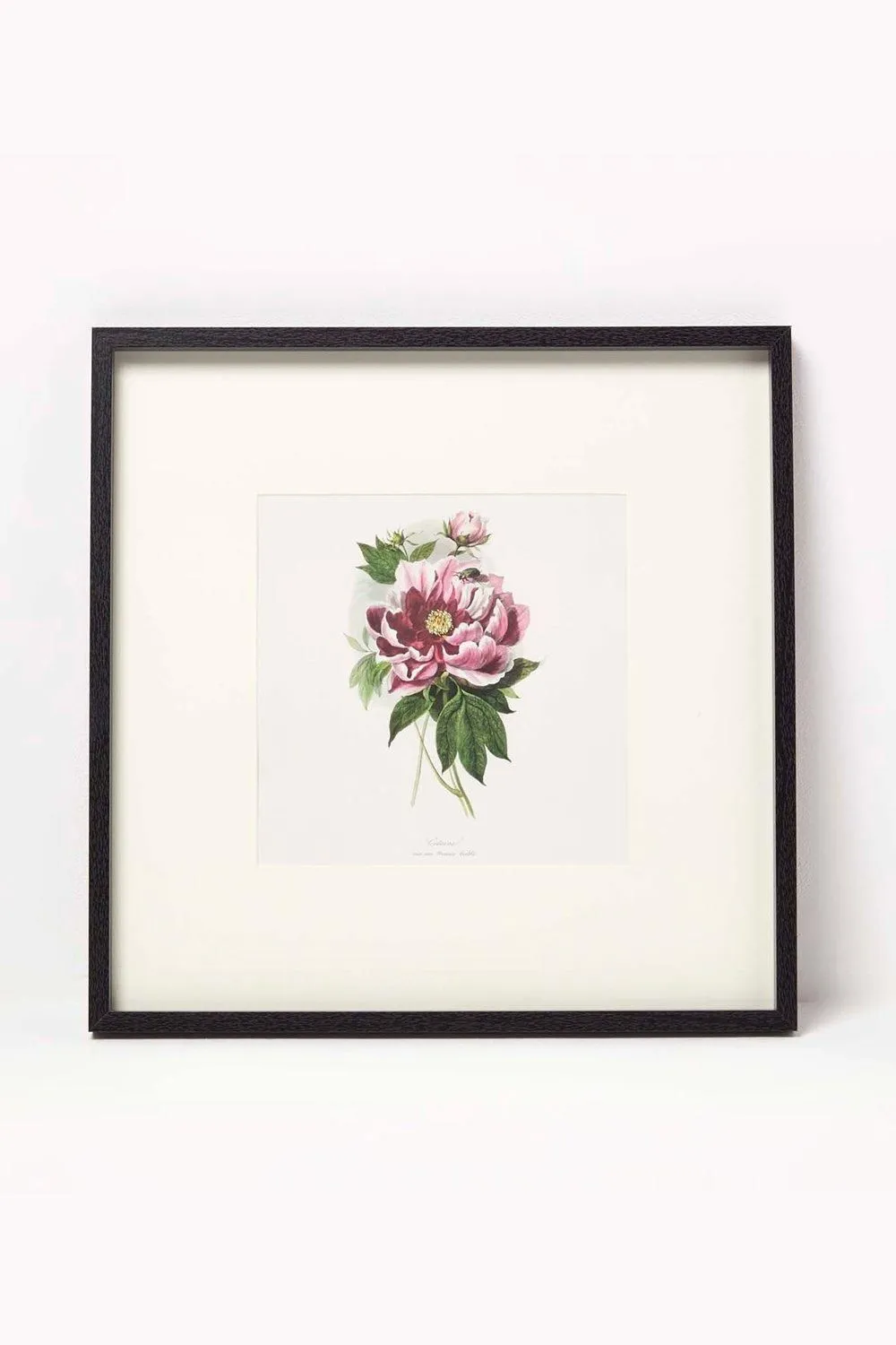 Homescapes Wall Decoration Set of 3 Frames with Picture, Peonies 2