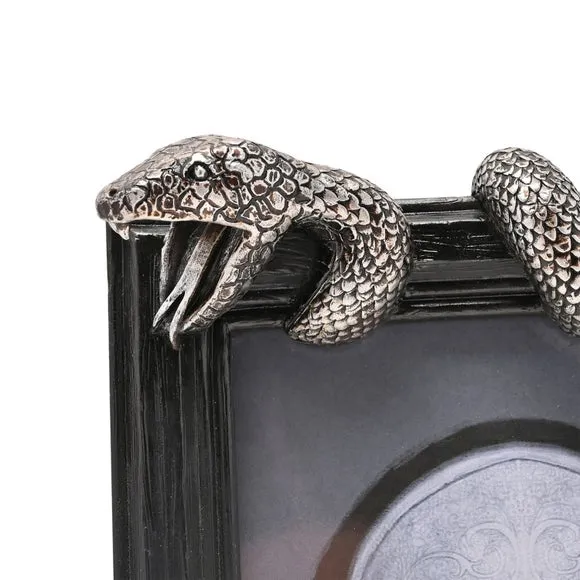 Harry Potter Nagini Photo Frame 4