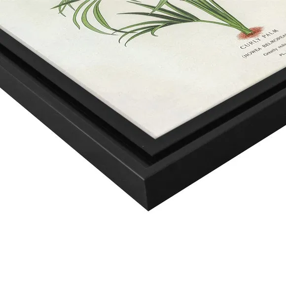 Curly Palm by Piddix Framed Print 2