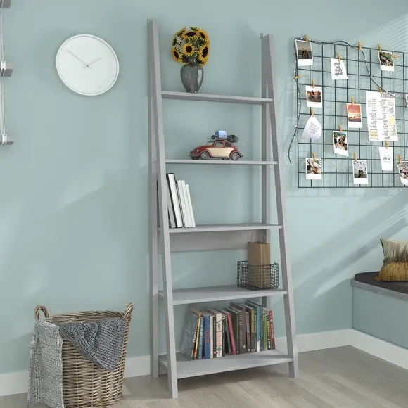 Tiva Ladder Bookcase 1