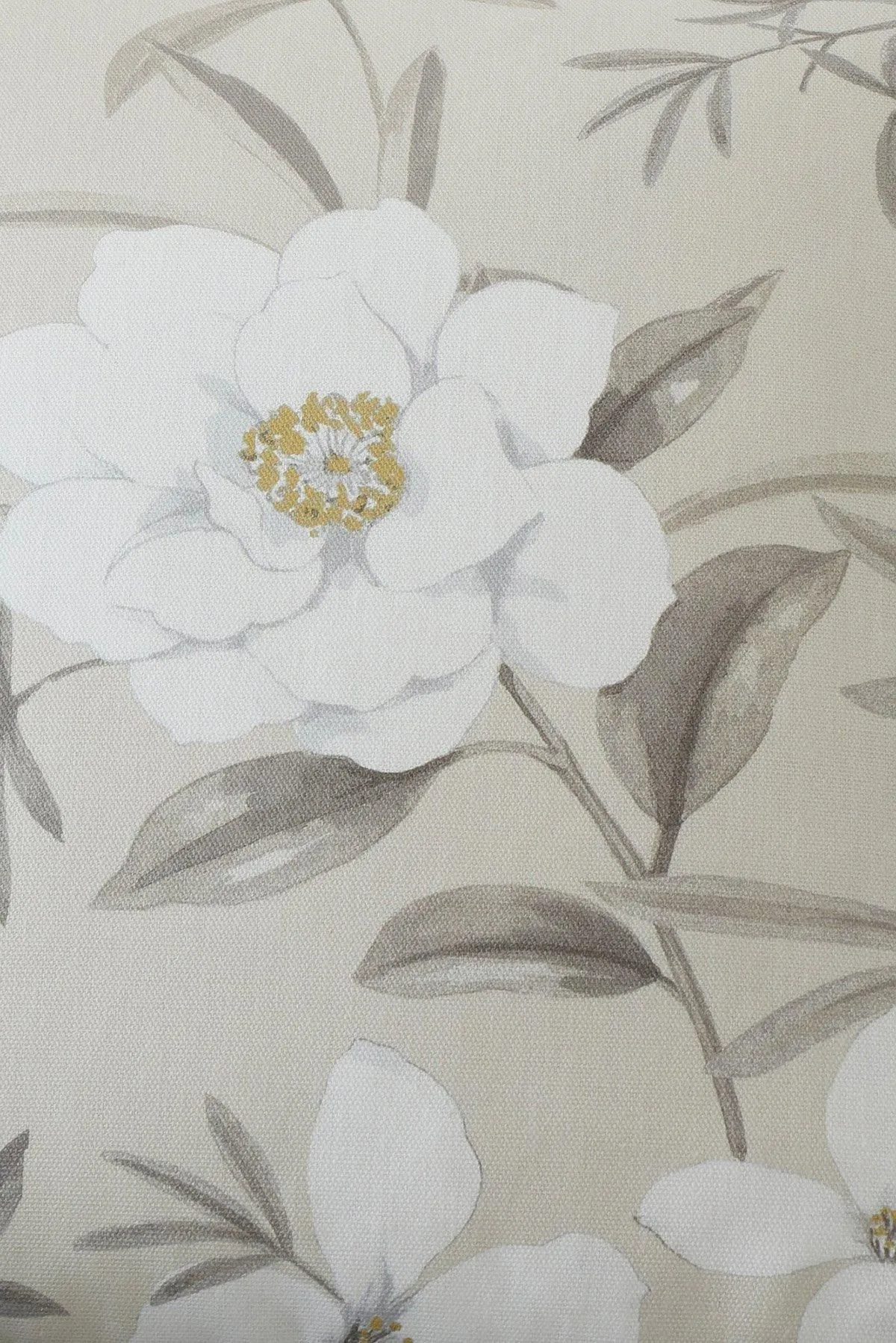Dreams & Drapes 'Eve' Filled 100% Cotton Cushion With Modern Floral Print in Natural 2