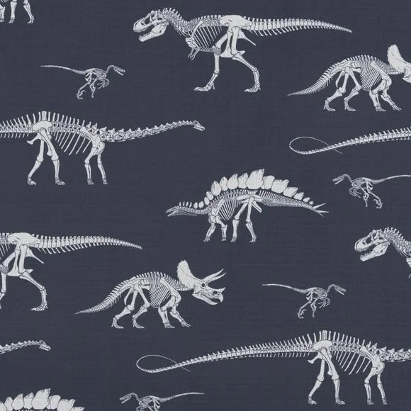 Fossil Forager Blackout Black Roller Blind 2