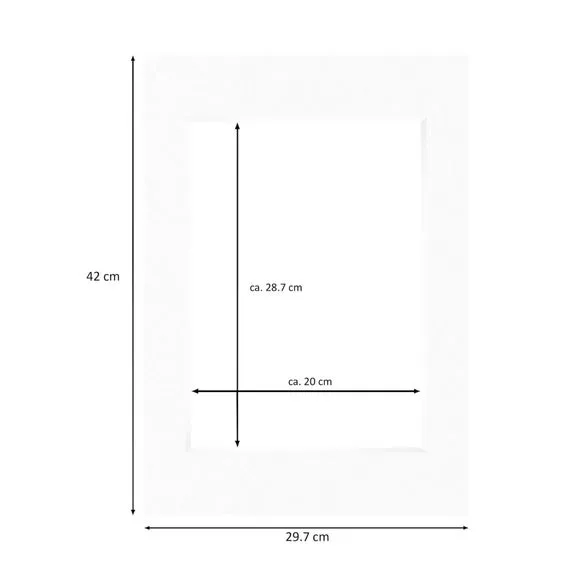 Nielsen Conservation White Picture Mount 2