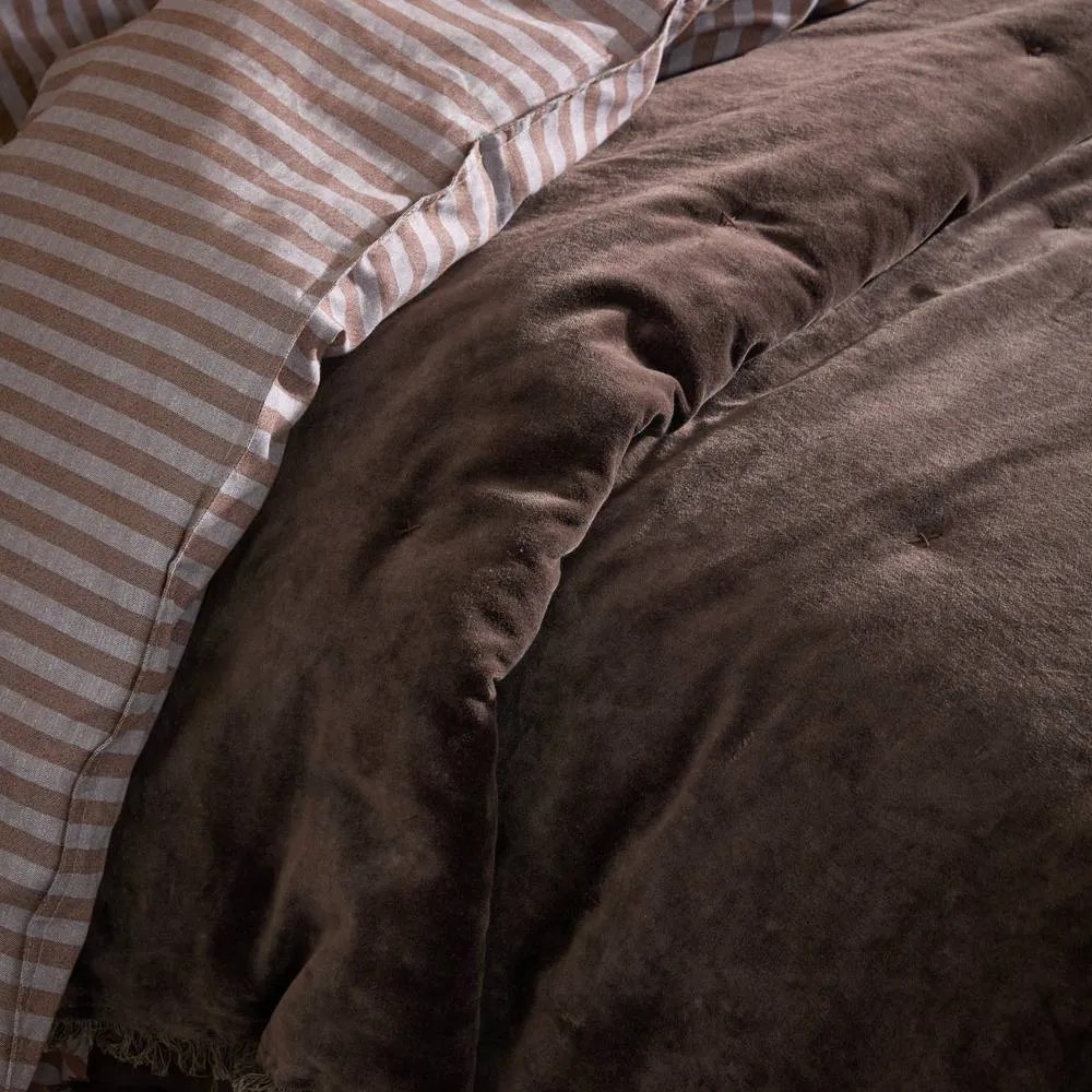 Yard Jaye Fringed Cotton Velvet Bedspread in Chocolate 2
