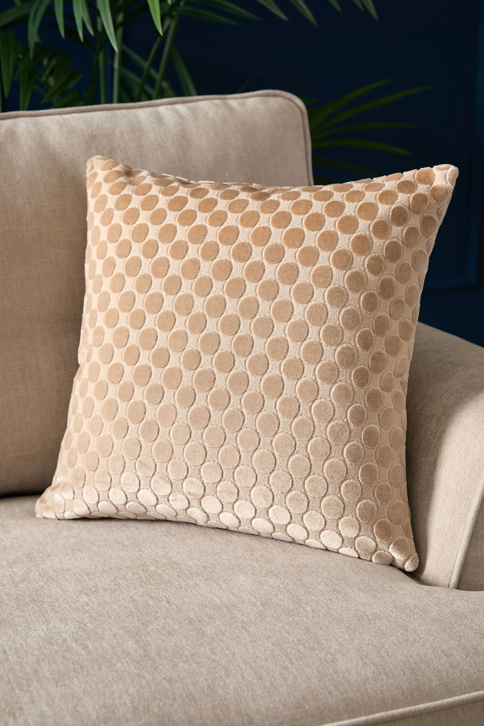 Soiree 'Velvet Spot' Plain Dyed Jacquard Velvet Filled Cushion in Natural