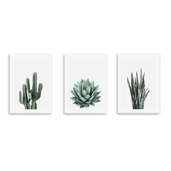 Set of 3 East End Prints Succulent Gallery Wall Prints 2
