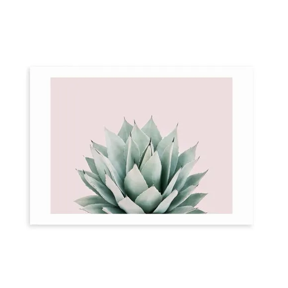 East End Prints Blush Succulent Print 2