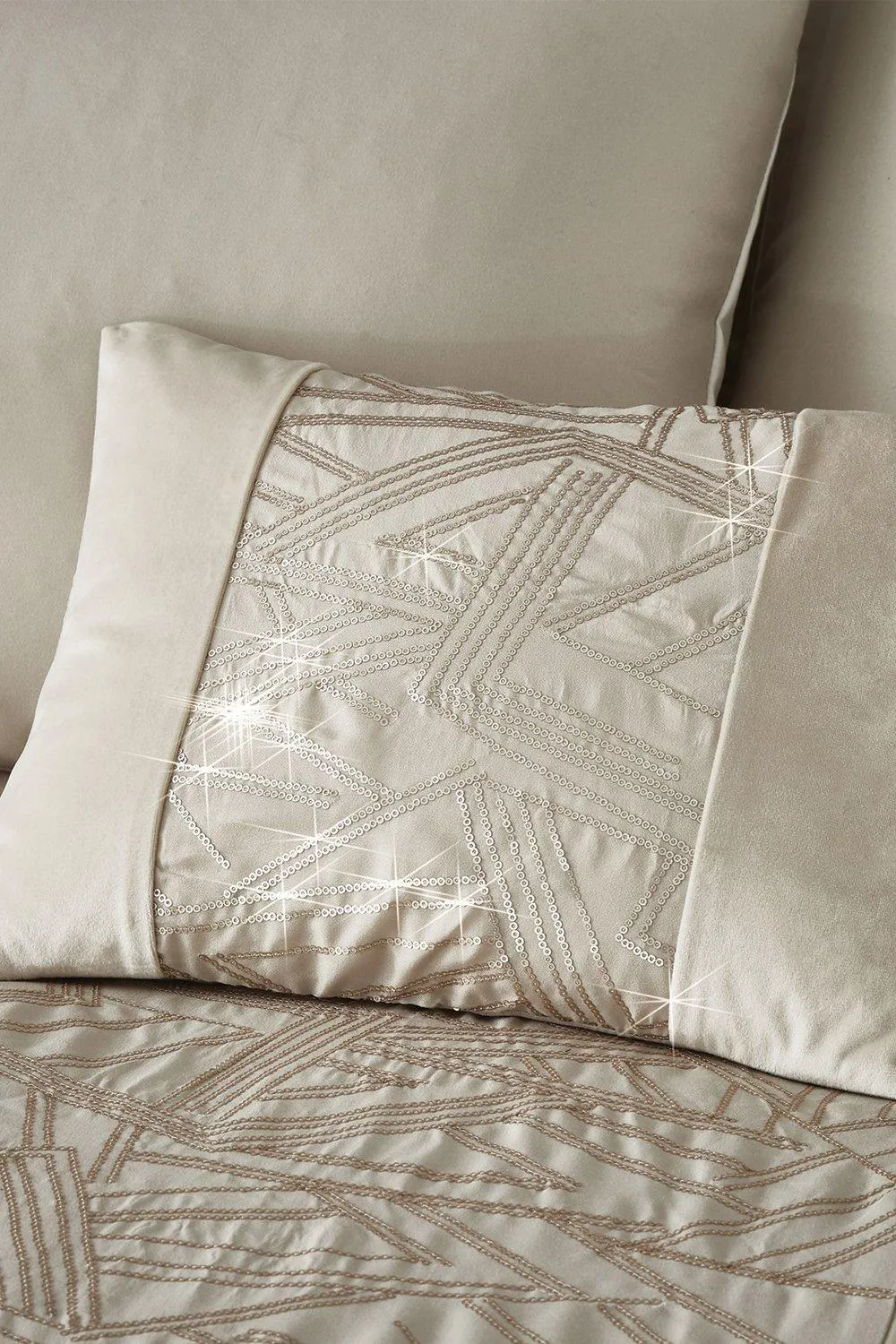 Velvet Sparkle Cushion