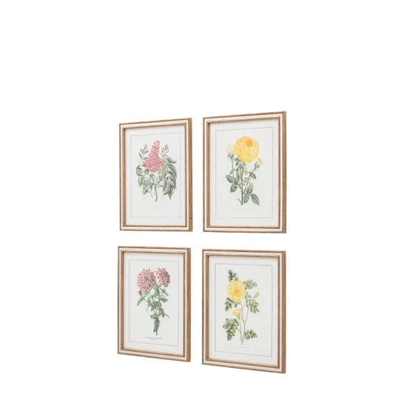 Cedar & Sage Set of 4 Floral Quartet Framed Prints 4
