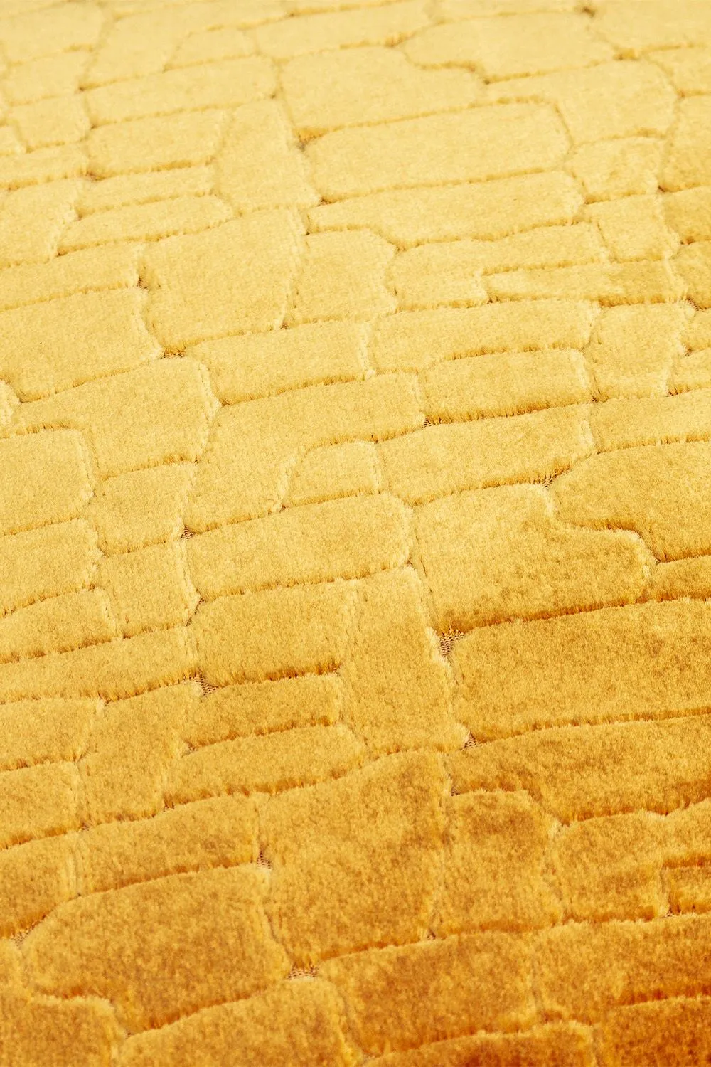 Paoletti Bloomsbury Soft Cut Velvet Piped Cushion in Mustard 4