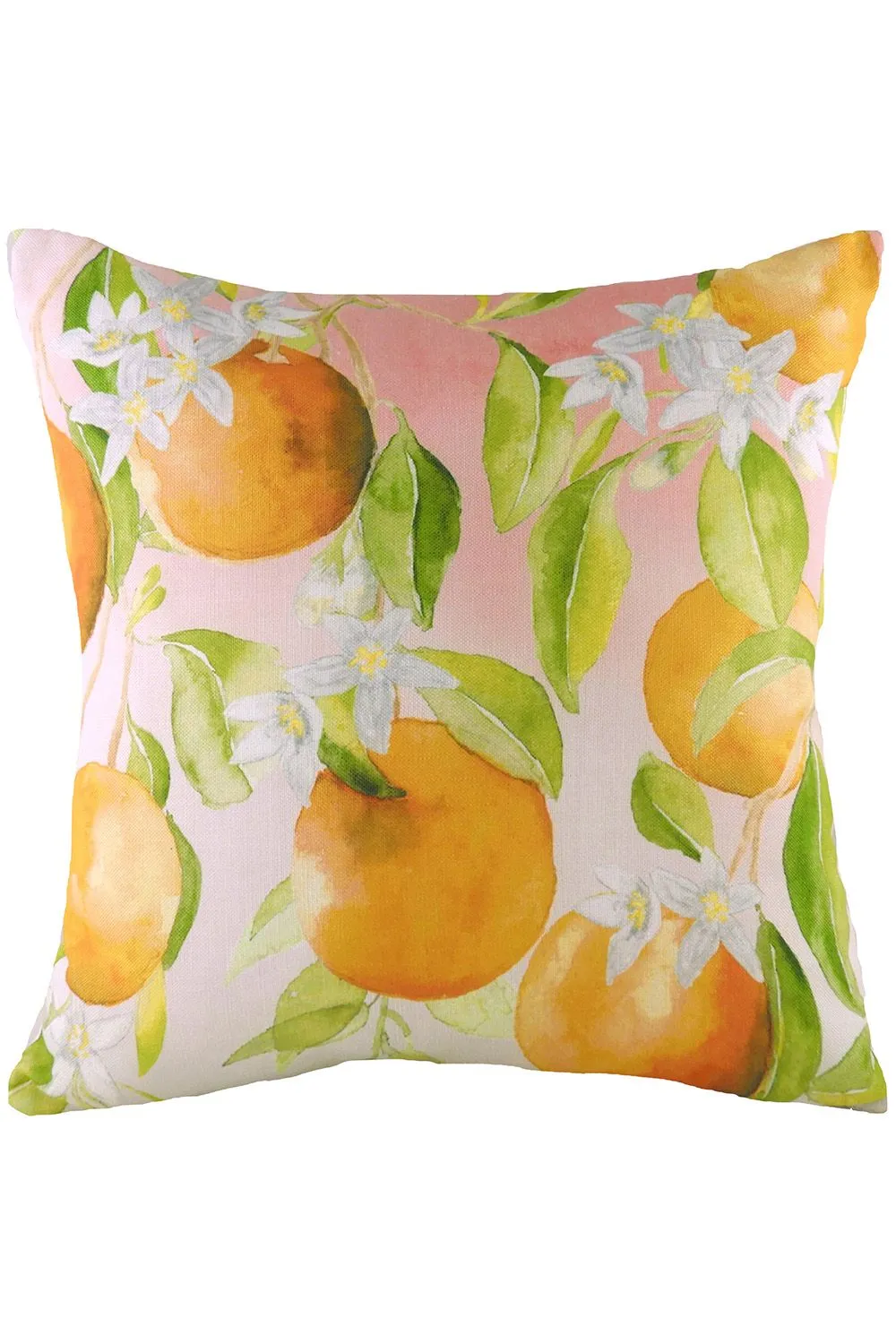 Evans Lichfield Fruit Oranges Hand Painted Watercolour Printed Cushion in Orange